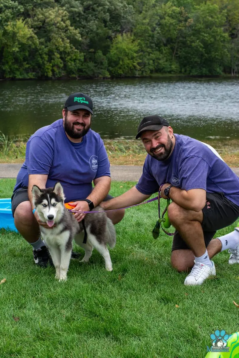 SoundMN team at a dog rescue community event in Minnesota